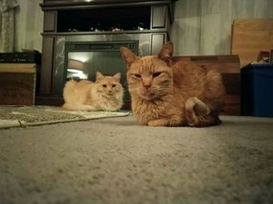 Meet your Posher, Chris